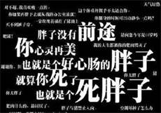 猫爪视频大全播放
